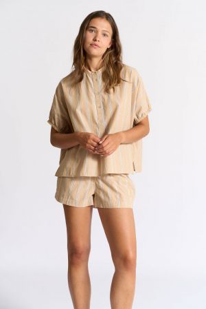 beige beige
