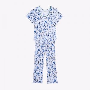 bloom  blauw