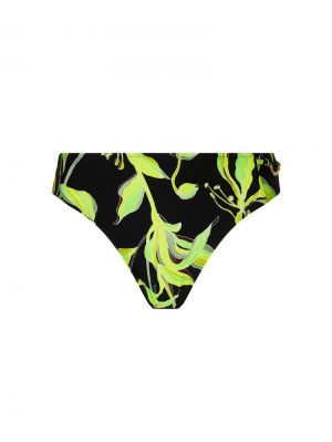 fleurs de nuit nuit luciole