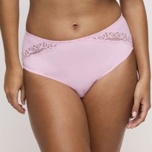 SALERNO SNR Spring Rose