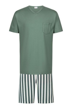  1254 palm hue