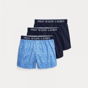 boxer 